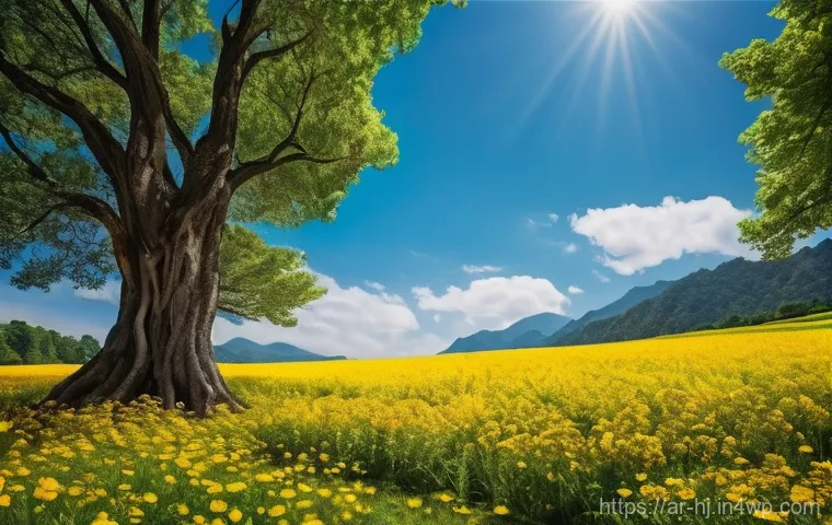 정보 계층화와 검색 엔진 최적화 이미지 2